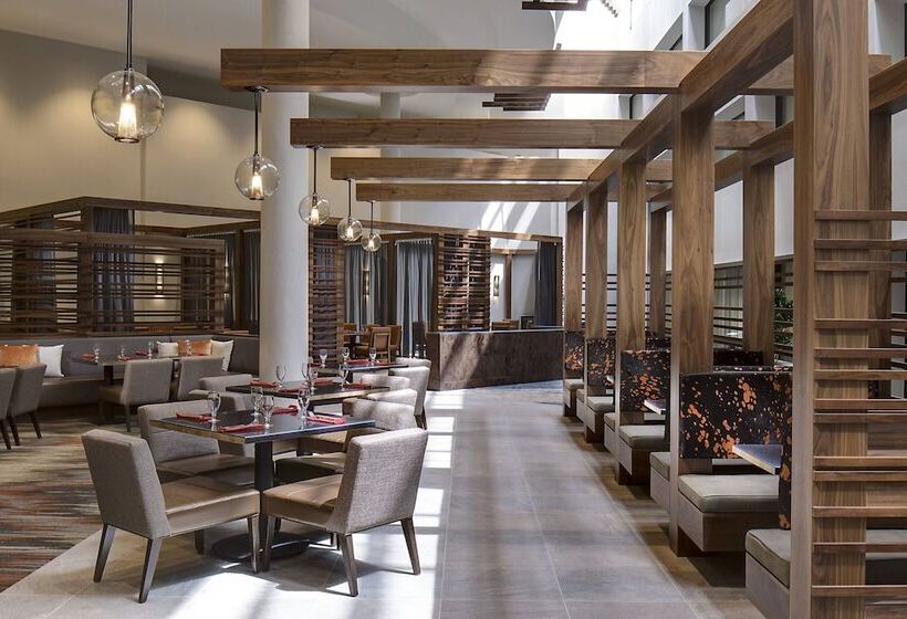 Quarto Estandar 2 Camas Casal, San Antonio Marriott Northwest Medical Center