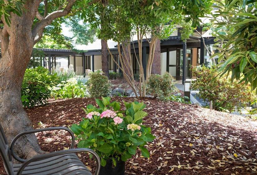 Номер Deluxe, Sheraton Palo Alto