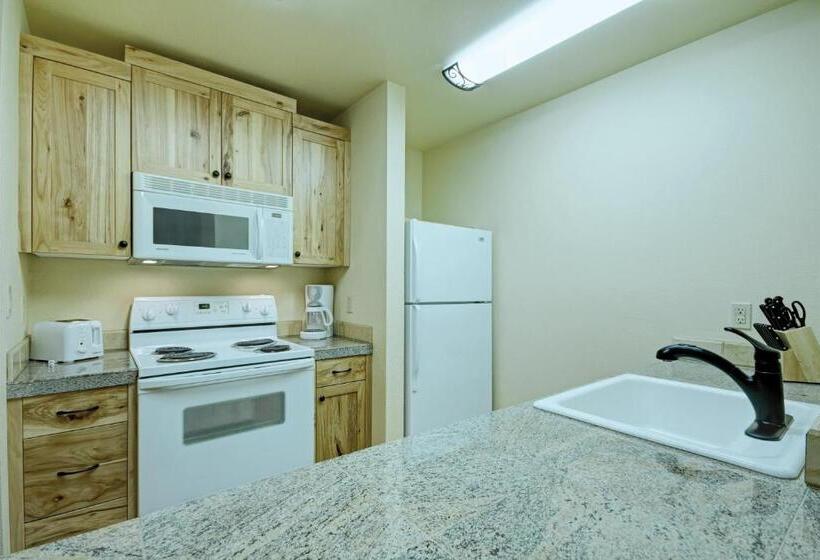 Studio Standard, Seventh Mountain Resort