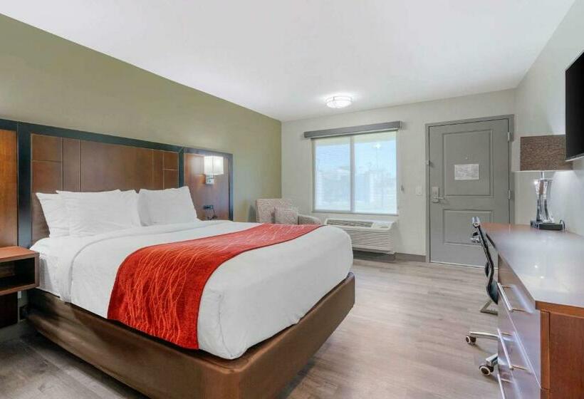 StandaardKamer, Comfort Inn