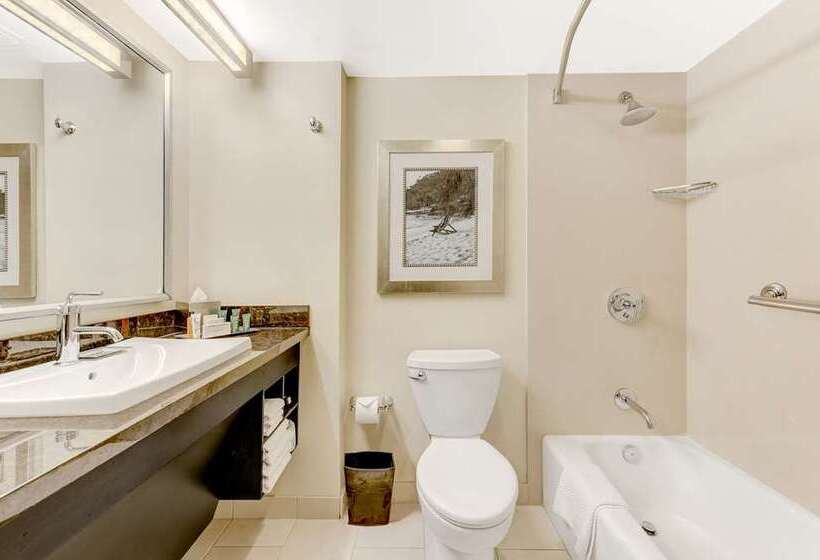 标准间, Hilton Melbourne, Fl