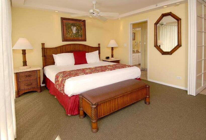 آپارتمان ممتاز دوخوابه رو به دریا, Mana Kai Maui   Official Onsite Rental Company