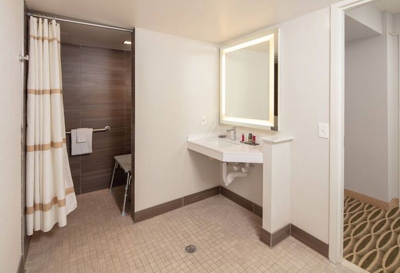 스탠다드 룸 더블 침대 2개, Minneapolis Marriott Southwest
