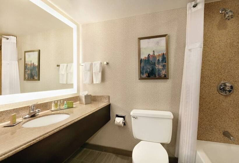 스탠다드 룸 더블 침대 2개, Doubletree By Hilton Atlanta   Northlake