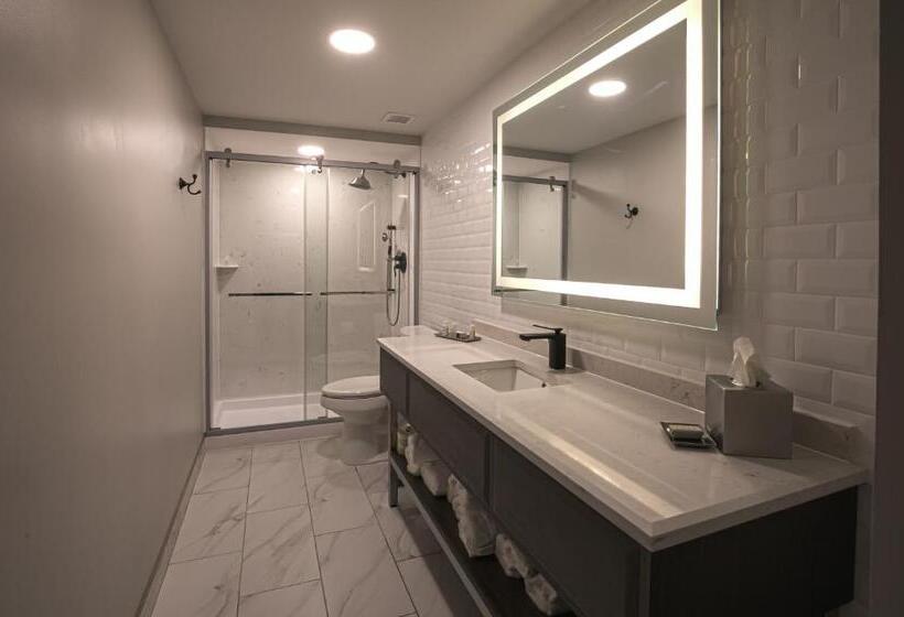스위트, Indigo   Birmingham Five Points S   Uab, An Ihg