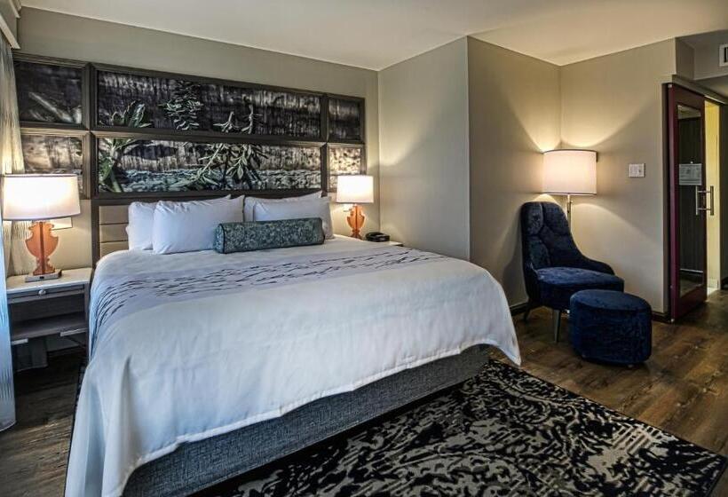 장애인을 위한 킹사이즈 침대 스탠다드 룸, Indigo   Birmingham Five Points S   Uab, An Ihg