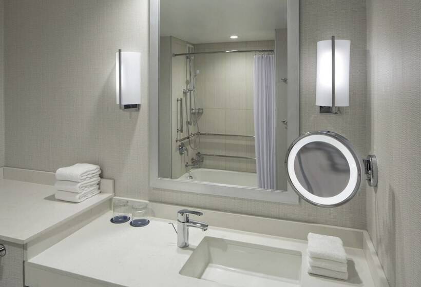 Номер Стандарт Двуспальная Кровать, Sheraton Norfolk Waterside