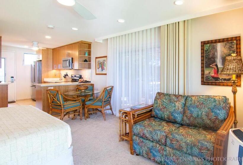 סטודיו סטנדרטי נוף לים, Nāpili Surf Beach Resort By Castle