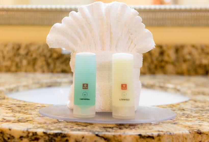 スイート, Clarion Inn Elmhurst  Oak Brook Near I88, I290, I294