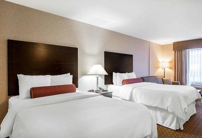 スイート, Clarion Inn Elmhurst  Oak Brook Near I88, I290, I294