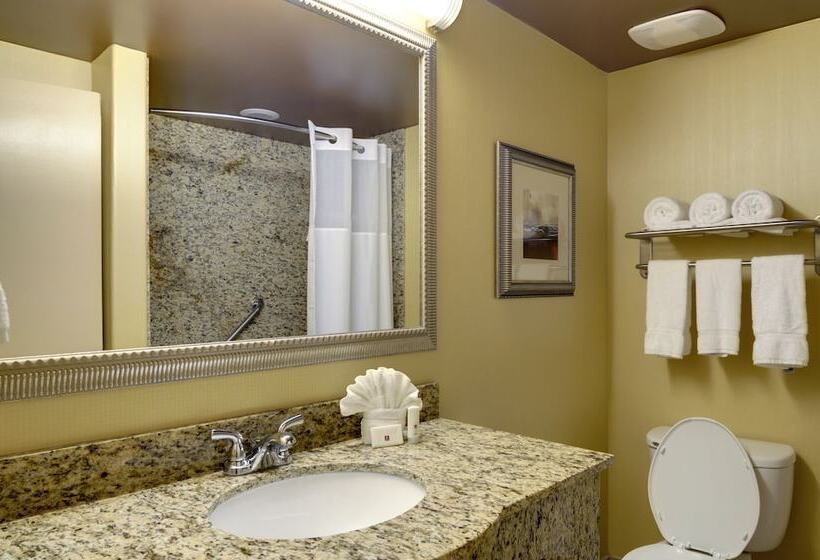 スイート, Clarion Inn Elmhurst  Oak Brook Near I88, I290, I294