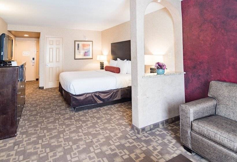 スイート, Clarion Inn Elmhurst  Oak Brook Near I88, I290, I294
