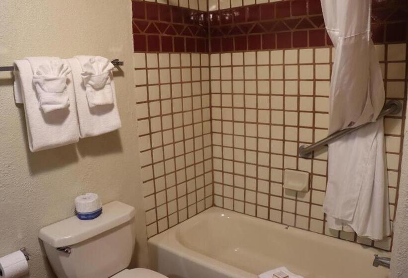 小型套房, Sagebrush Inn & Suites
