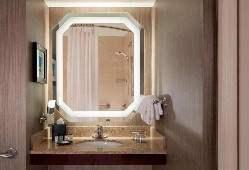 스탠다드 룸 1층, Sheraton Dfw Airport