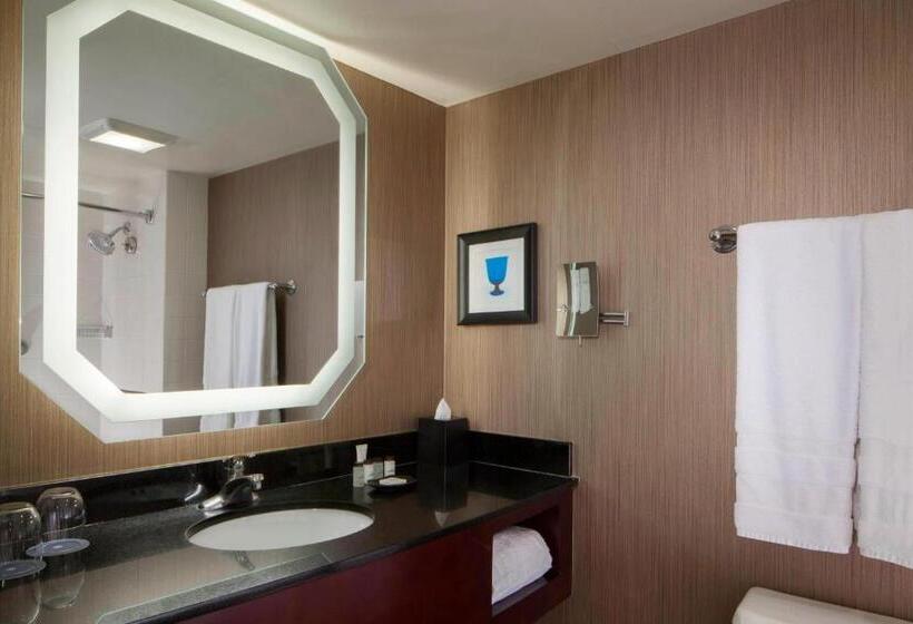 스탠다드 룸 킹사이즈 침대, Sheraton Dfw Airport