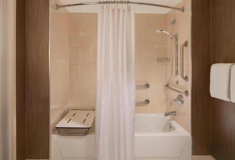 장애인을 위한 킹사이즈 침대 스탠다드 룸, Sheraton Dfw Airport