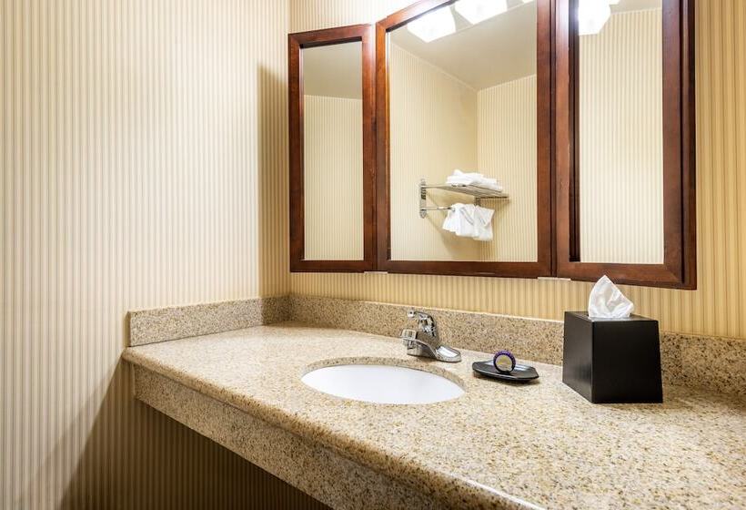 سوئیت جونیور با تخت بزرگ, Anaheim Majestic Garden
