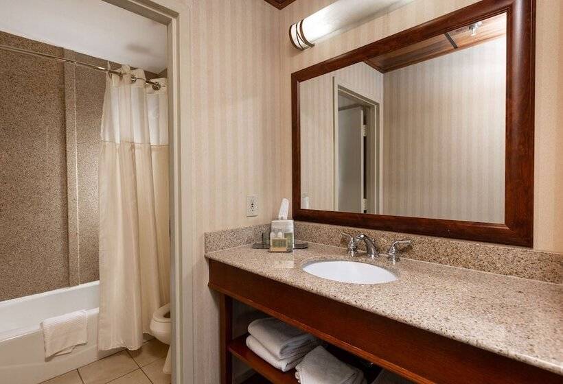 スタンダードルーム, Inn At The Colonnade Baltimore A Doubletree By Hilton