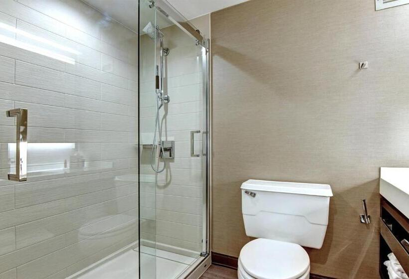 اتاق استاندارد با تخت بزرگ, Tulsa Marriott Southern Hills
