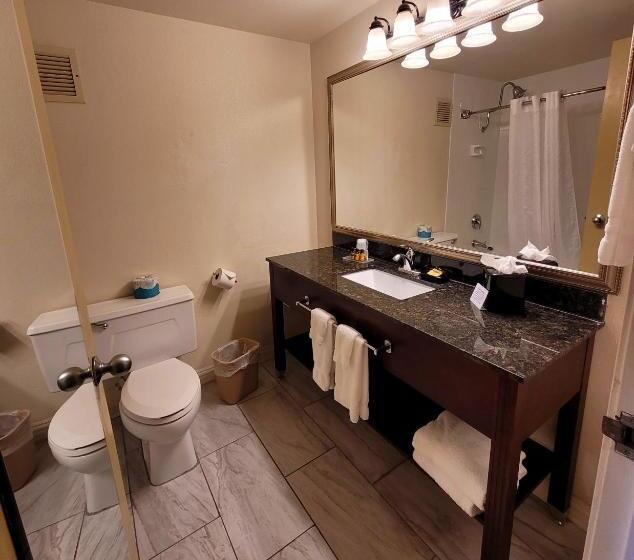 Апартаменты 1 Спальня, Seville Plaza Hotel, Trademark Collection By Wyndham