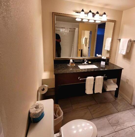 Стандартный Номер Кровать Кинг, Seville Plaza Hotel, Trademark Collection By Wyndham