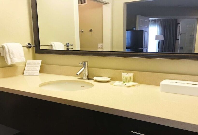Люкс 2 Спальни, Sonesta Es Suites Chatsworth