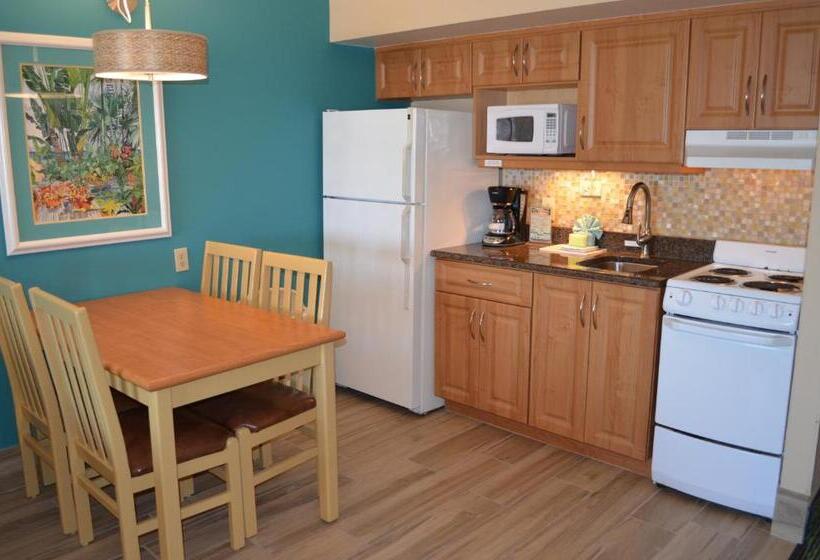 Номер Стандарт Вид на Море, Sun Viking Lodge  Daytona Beach