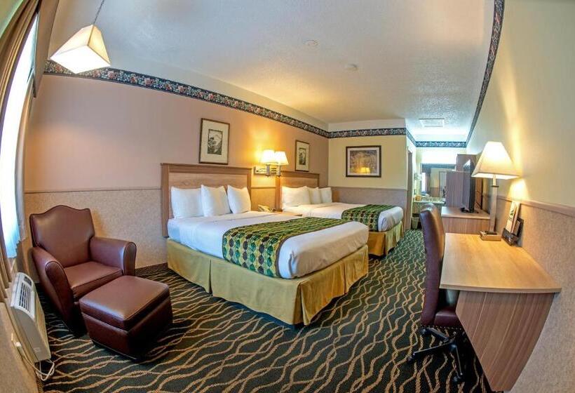 Номер Стандарт, Silver Spruce Inn