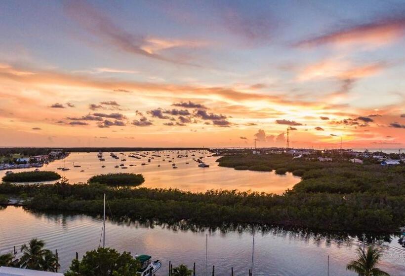 سوئیت با تخت بزرگ, Skipjack Resort & Marina