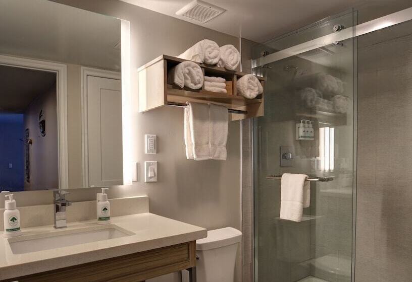 اتاق استاندارد, Greentree Inn Flagstaff