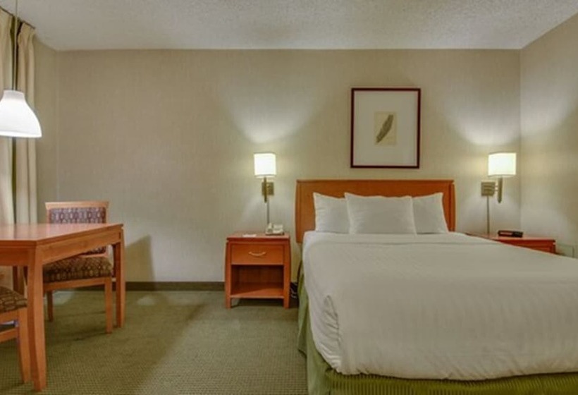 Quarto Estandar Cama Casal, Vagabond Inn Los Angeles At Usc
