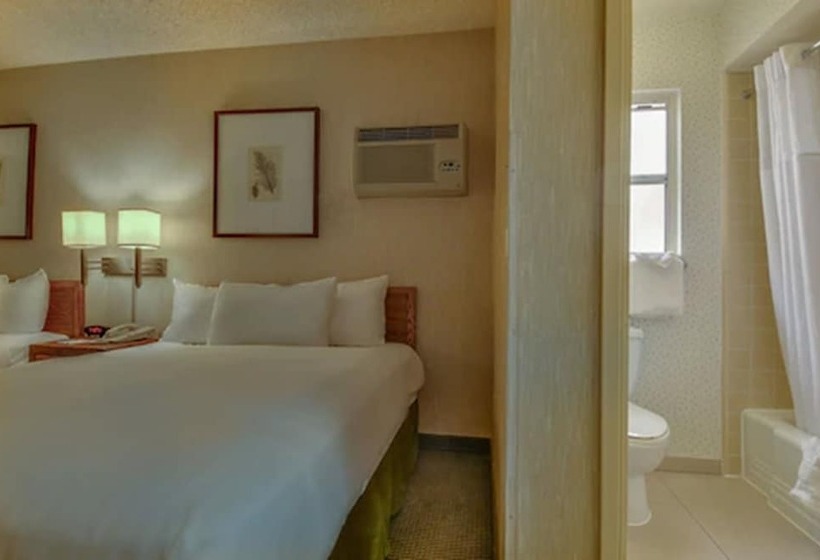 Quarto Estandar 2 Camas Casal, Vagabond Inn Los Angeles At Usc