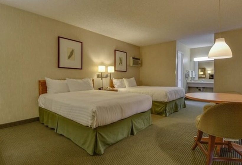 带2个双人床的标准工作室, Vagabond Inn Los Angeles At Usc