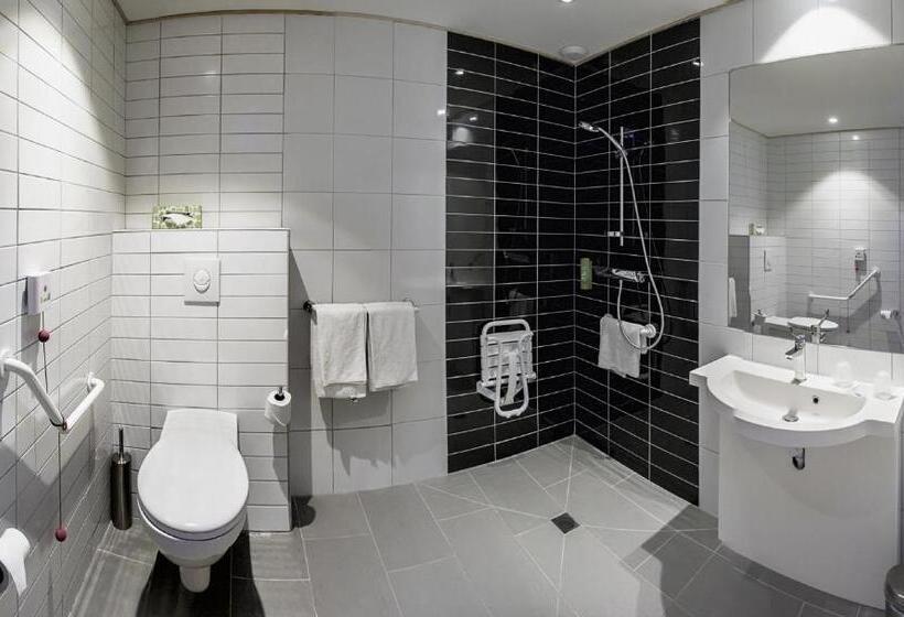 اتاق استاندارد برای معلولان, Holiday Inn Express Lille Centre, An Ihg