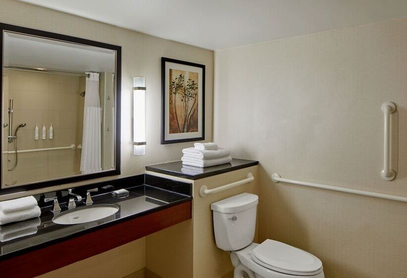 스탠다드 룸 더블 침대 2개, Detroit Metro Airport Marriott