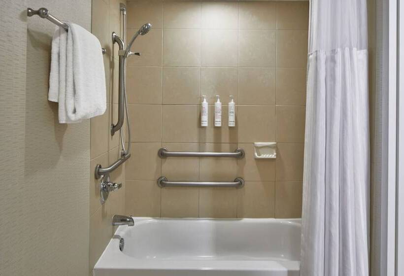 스탠다드 룸 더블 침대, Detroit Metro Airport Marriott