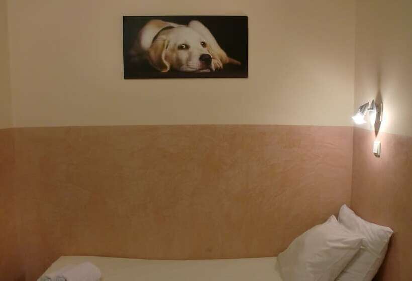 اتاق استاندارد, Budget Hotel Neutraal