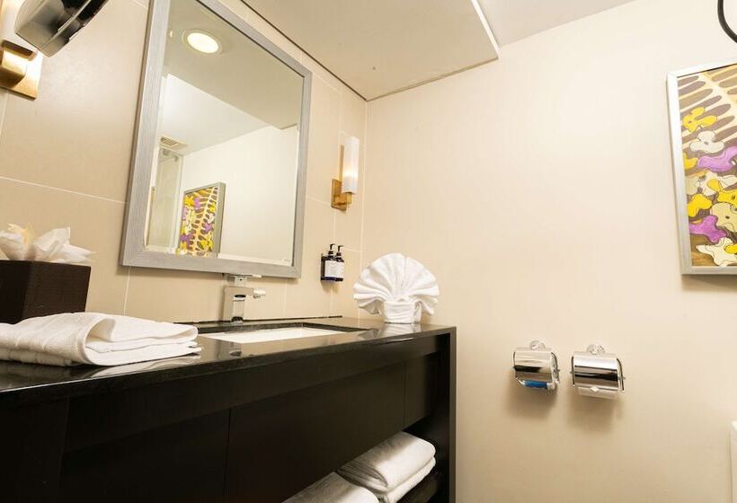 اتاق استاندارد با 2 تخت دوبل, Hilton San Salvador