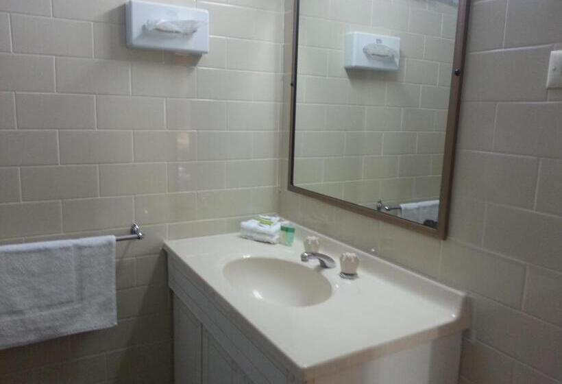 스탠다드 룸, Big Valley Lakeside Paradise Motor Inn