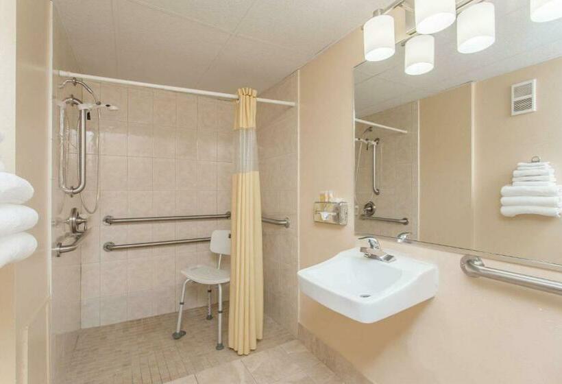 اتاق استاندارد برای معلولان, Days Inn By Wyndham Bradenton I75