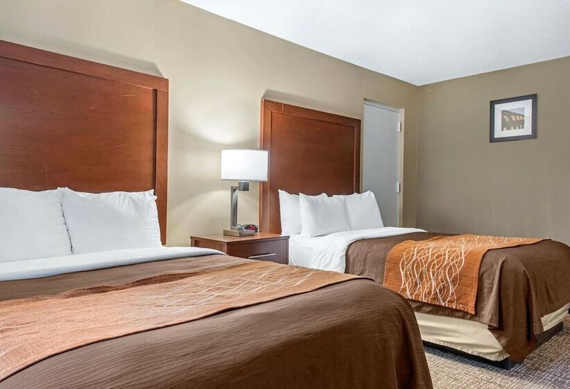 Номер Стандарт 2 Двуспальные Кровати, Comfort Inn Msp Airport  Mall Of America