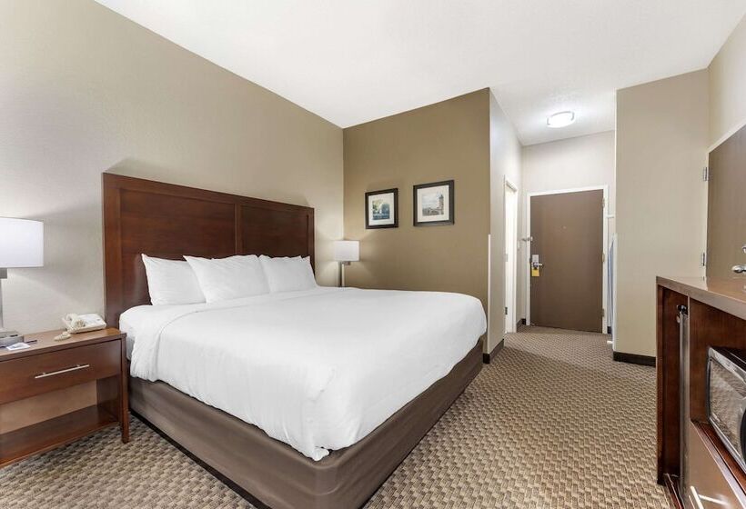 标准间带双人床, Comfort Inn & Suites