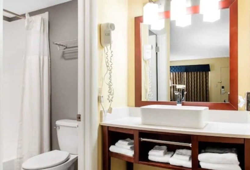 Номер Стандарт 2 Двуспальные Кровати, Escape Inn Hershey