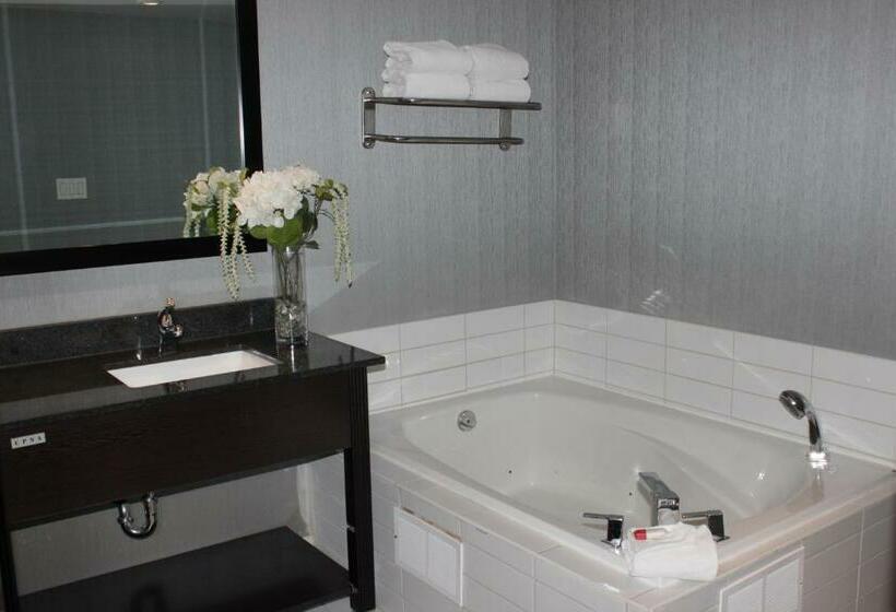 プレジデントスイートルーム, Ramada Plaza By Wyndham Niagara Falls