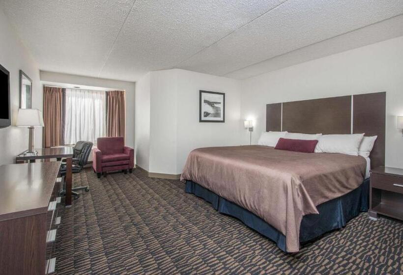 スタンダードルーム, Ramada Plaza By Wyndham Niagara Falls