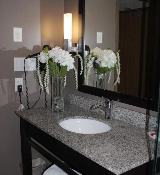 身障者適用スタンダードルーム, Ramada Plaza By Wyndham Niagara Falls