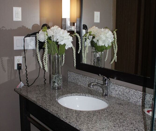 スイート, Ramada Plaza By Wyndham Niagara Falls
