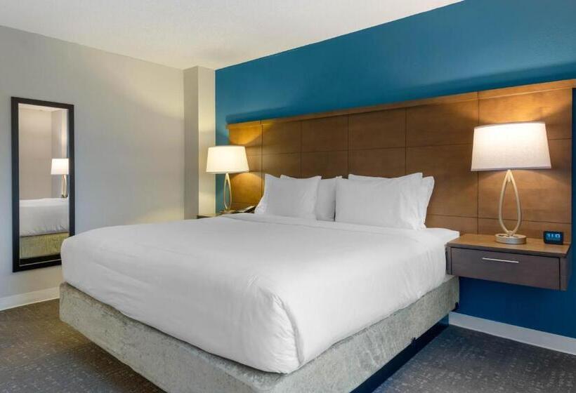 适合残疾人士使用的套间, Staybridge Suites Orlando Royale Parc Suites, An Ihg