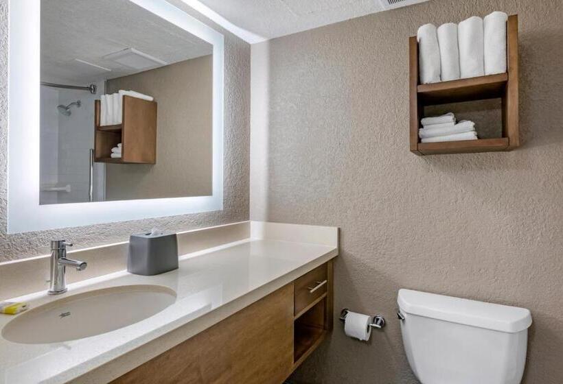 适合残疾人士使用的带超级大床的标准间, Staybridge Suites Orlando Royale Parc Suites, An Ihg
