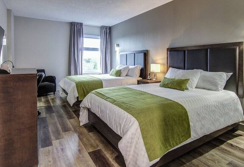 Номер Стандарт 2 Двуспальные Кровати, Hôtel Du Jardin